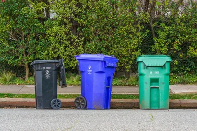 Black, blue, and green recycling bins on the street curb, ready for collection.